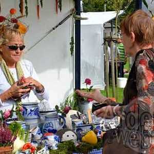 Festival de la soupe-7519