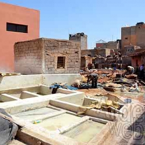 Clinique du ballon-855 Clinique du ballon-855