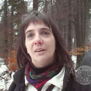 Fagnes hivernales - video 15