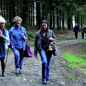 La FETE du BOULEAU du 9 avril 2017 La FETE du BOULEAU du 9 avril 2017