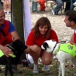 Retrouvailles 2016 au Parc de la Boverie