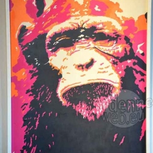 Hubert Grooteclaes-1187 Hubert Grooteclaes-1187