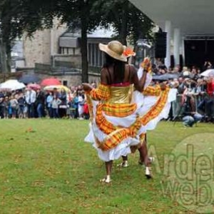 Vielsalm 21 juillet fete des myrtilles - 9647