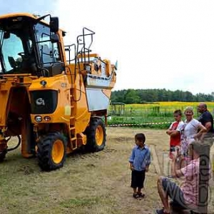 Audouin-2779 Audouin-2779