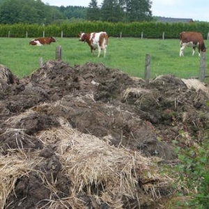 Producteur, materiau .... en suffisance Producteur, materiau .... en suffisance