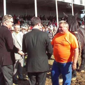 Foire de Libramont 2007-video 06