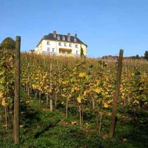 Vignoble de La Mazelle
