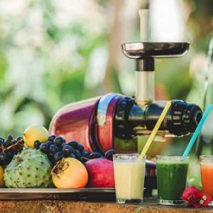 humain frugivore humain frugivore