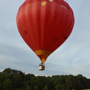 Vol en Montgolfiere en Belgique - 7864