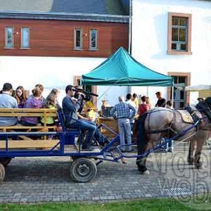 WE du Bois de Martelange