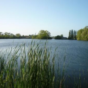Ardres : le lac Ardres : le lac
