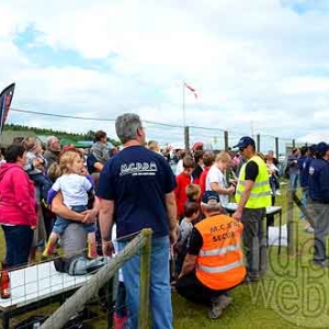 La Chouette de Basse-Bodeux-769 La Chouette de Basse-Bodeux-769