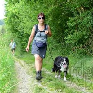 MESA 2011-0554 MESA 2011-0554