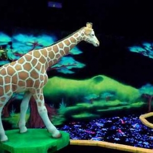 Goolfy mini golf indoor