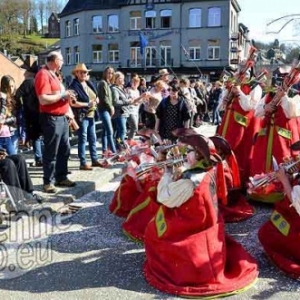 video carnaval La Roche 2017