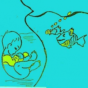 eau et croissance pour le bien-etre de bebe eau et croissance pour le bien-etre de bebe