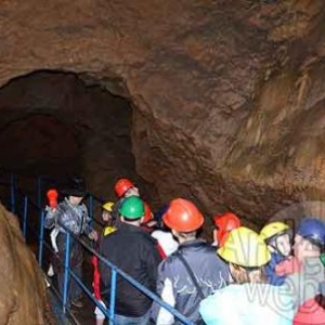 Les Nutons du Condroz Les Nutons du Condroz