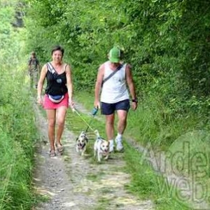 MESA 2011-0603 MESA 2011-0603