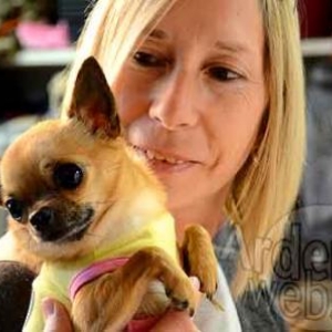 concours du plus beau chien du monde - video 6
