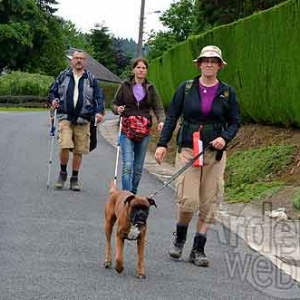 MESA_00290 MESA_00290