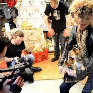 concours du plus beau chien du monde - video 4