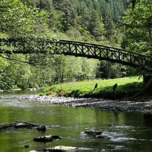 Passerelle des Roches de Challes