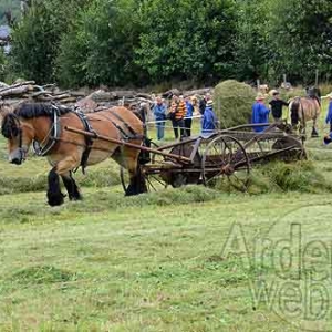 Vaux-Chavanne_9120