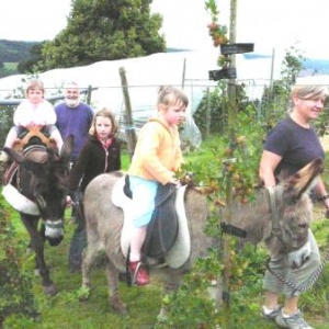 La promenade a dos d'ane