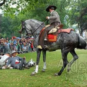 20100721_myrtilles_10