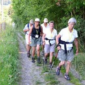 MESA 2011-0371 MESA 2011-0371