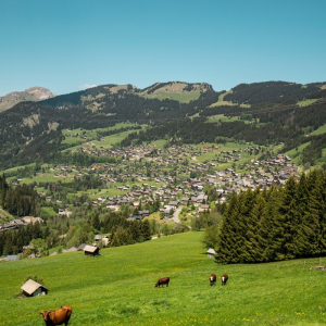 ​Châtel.  Destination Tout-Saison au Cœur des Alpes