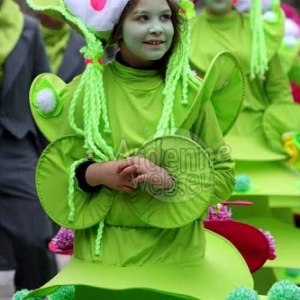 Carnaval de La Roche 2015 - 4373