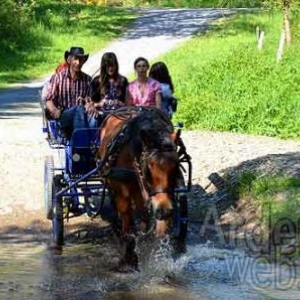 Willow Springs Western Festival - photo 2310 Willow Springs Western Festival - photo 2310