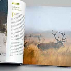 Entre Famenne et Ardenne Entre Famenne et Ardenne