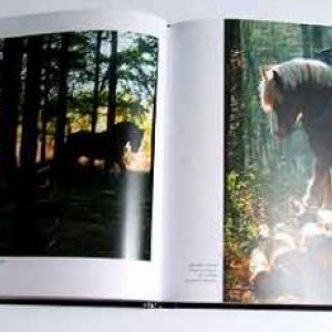Le cheval ardennais Le cheval ardennais
