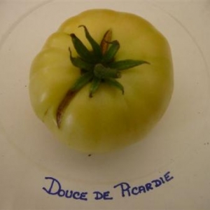 Fourons: fete de la tomate