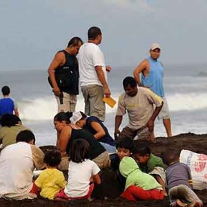 Extinction de la tortue de mer au COSTA RICA-22