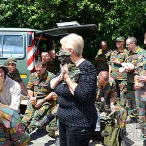 MESA 2011 - Vielsalm - 4420