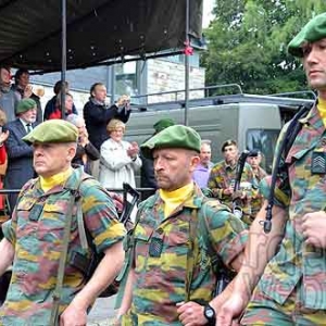 MESA_00379 MESA_00379