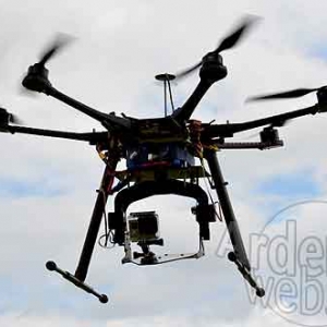 La Chouette de Basse-Bodeux-729 La Chouette de Basse-Bodeux-729