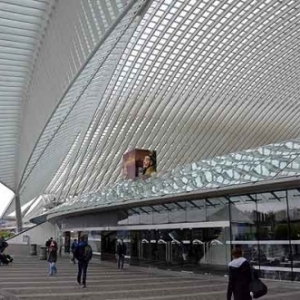 Liege Guillemins Gare exposition: armee Terracotta