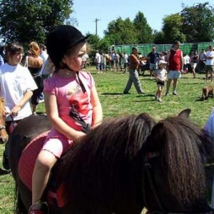 Tavigny : Fete du Cheval 2007-photo3758 Tavigny : Fete du Cheval 2007-photo3758