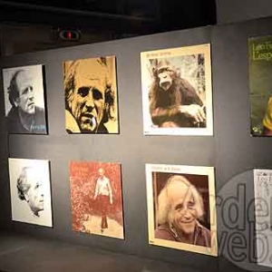 Hubert Grooteclaes-1132 Hubert Grooteclaes-1132