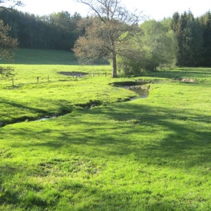 Balade - Découverte du sentier castor « Prés de la Lienne »