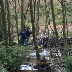 Excursions à Houffalize au Pays des Castors avec Olivier Rubbers Excursions à Houffalize au Pays des Castors avec Olivier Rubbers