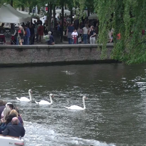 Brugge, 15 août 2016, la Venise du Nord Brugge, 15 août 2016, la Venise du Nord