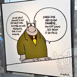 Philippe Geluk expose le Chat-6485