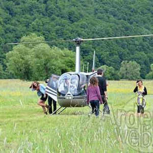 Renault-9031 Renault-9031