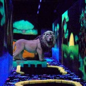 Goolfy mini golf indoor