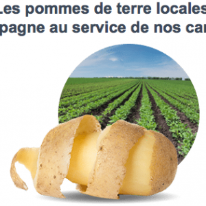 Les pommes de terre : un aliment traditionnel